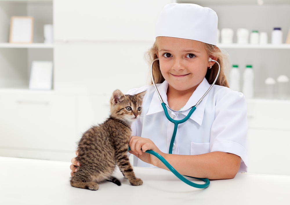Little girl playing veterinary Little girl playing veterinary with her kitten - animal care concept