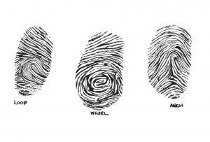 Why do we have fingerprints?