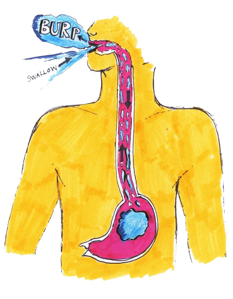 Why Do We Burp And Fart Little Medical School Ottawa