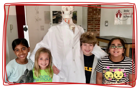 lms-exp1 Kids Camps and After School Care Franchise opportunities