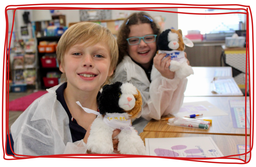 veterinarian toy kids franchise school